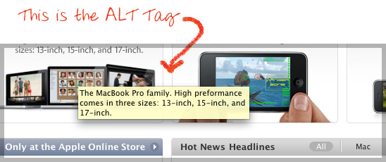 Image Alt tags Simplified by RankFrog